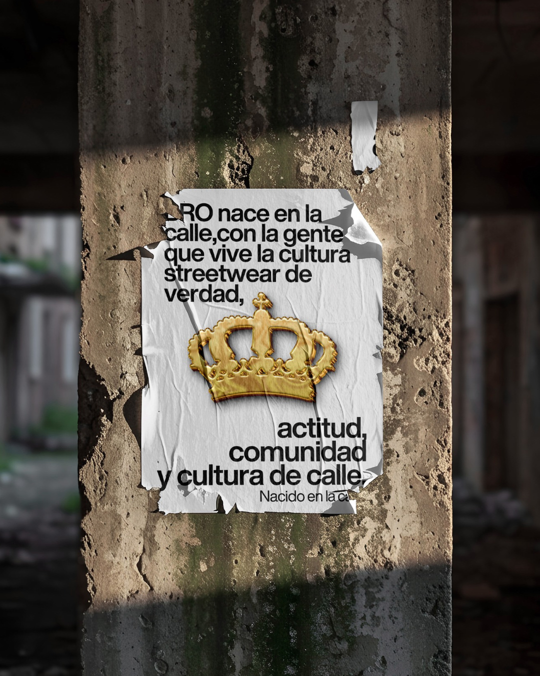 Proyecto de identidad y comunicación visual de Wolfango
