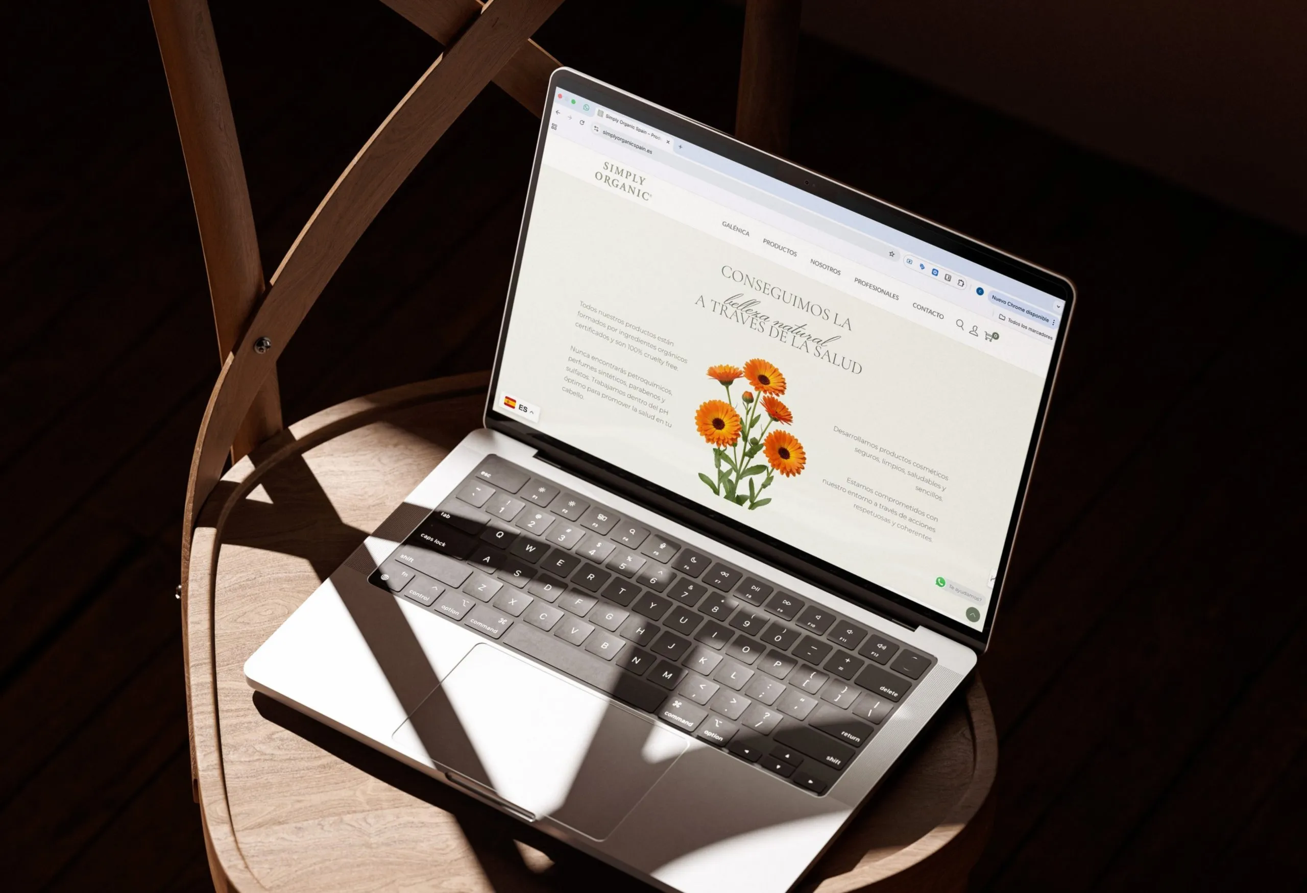 Proyecto de branding y diseño desarrollado por Wolfango